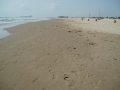 spi01slsw-090515.JPG